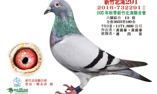 所有精神疾病的名称和简介-各种精神疾病的症状网—知名的常见100种精神疾病有哪些网站,分享各种精神疾病的症状表现知识